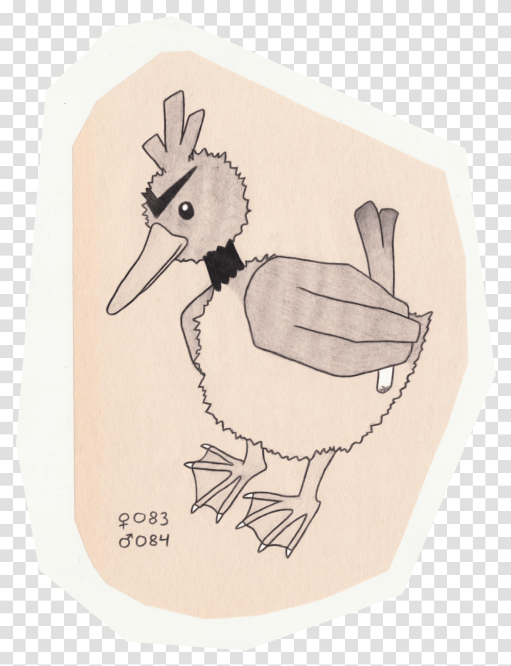 Duck, Kiwi Bird, Animal, Drawing Transparent Png
