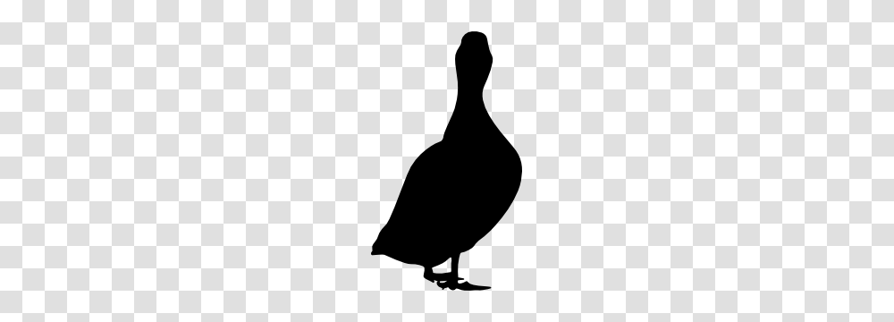 Duck Looking For Food Sticker, Silhouette, Bird, Animal, Blackbird Transparent Png