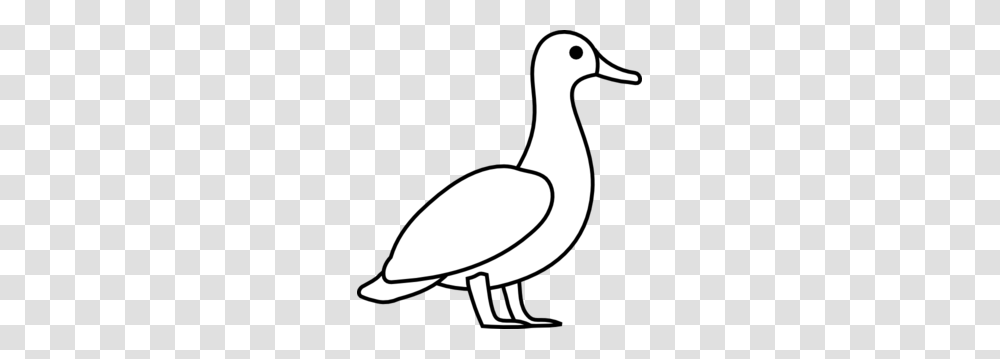 Duck Outline Clip Art, Bird, Animal, Waterfowl, Goose Transparent Png