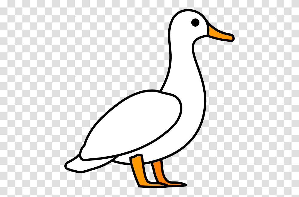 Duck Outline Group With Items, Bird, Animal, Goose, Waterfowl Transparent Png