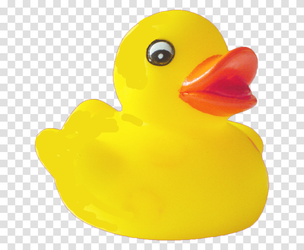 Duck Pic Rubber Duck Background, Bird, Animal, Toy, Peeps Transparent Png