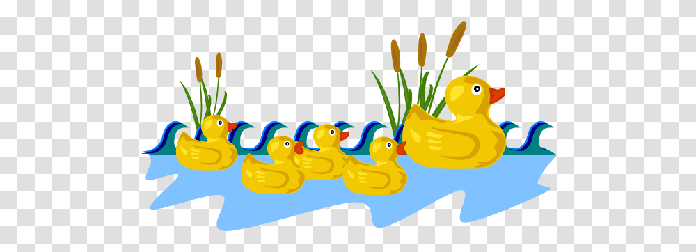Duck Pond Clip Art For Web, Plant, Bird, Flower Transparent Png