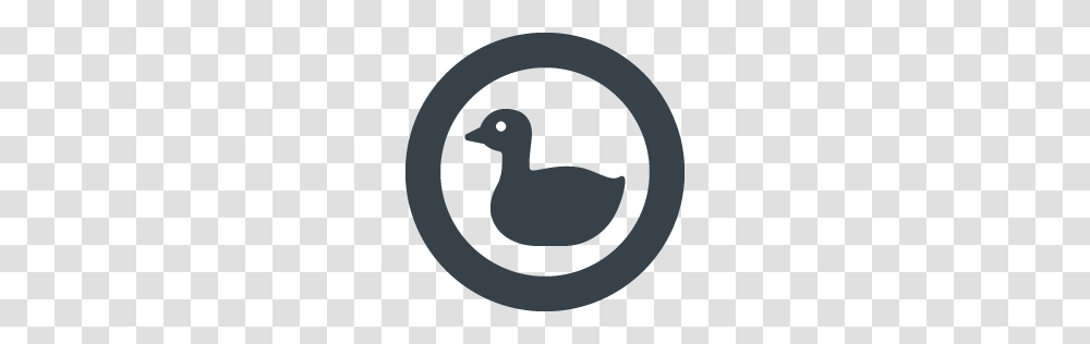 Duck Side View Free Icon Free Icon Rainbow Over Royalty, Bird, Animal, Goose Transparent Png