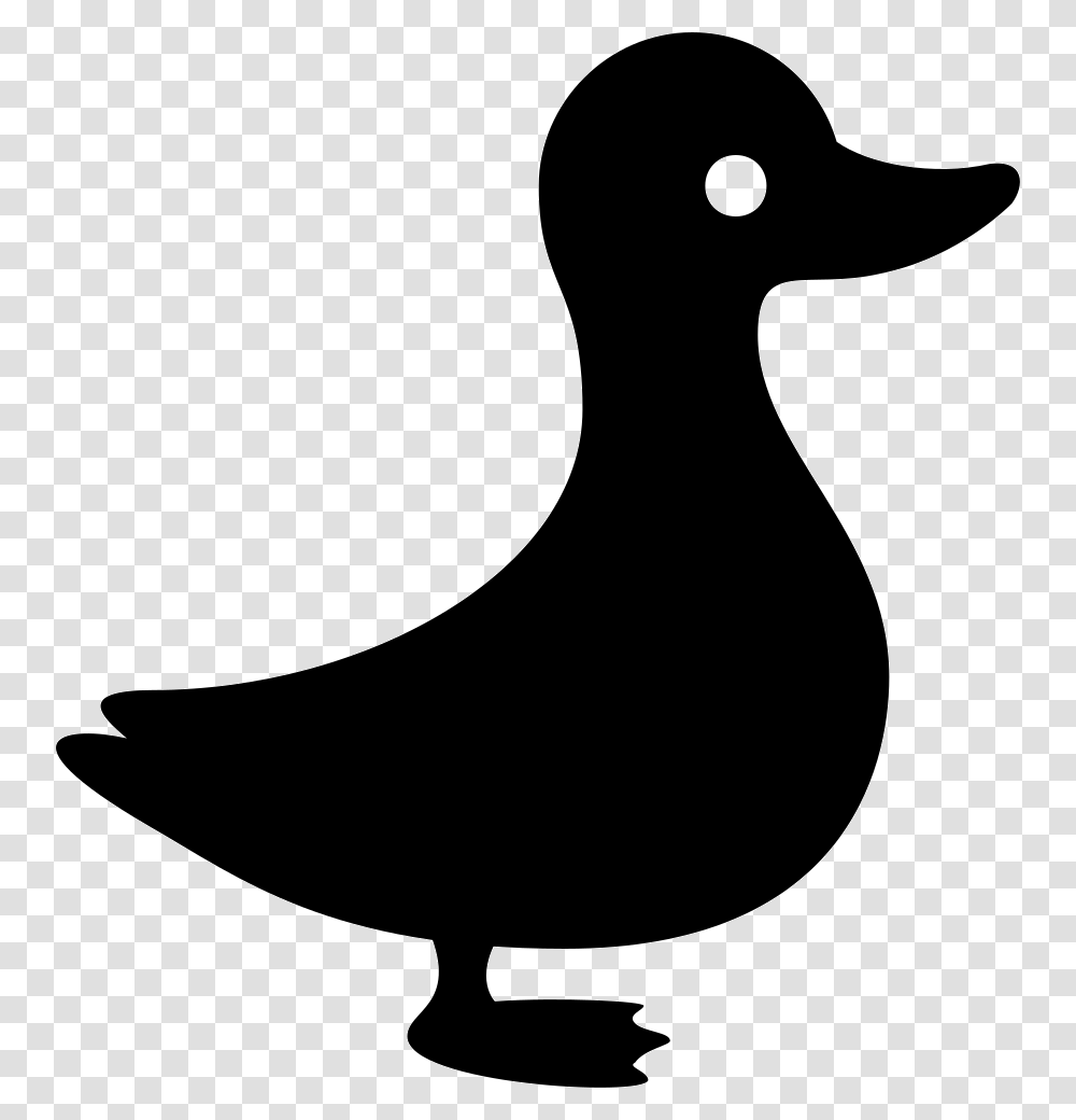 Duck, Silhouette, Bird, Animal, Waterfowl Transparent Png