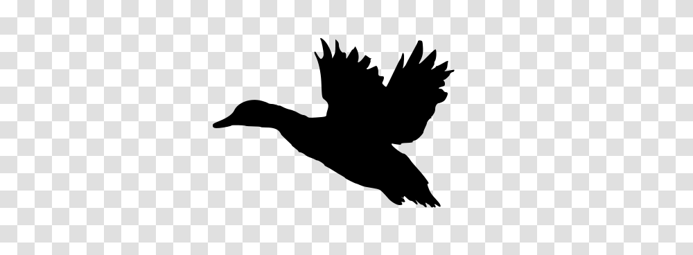 Duck Silhouette Clip Art, Gray, World Of Warcraft Transparent Png