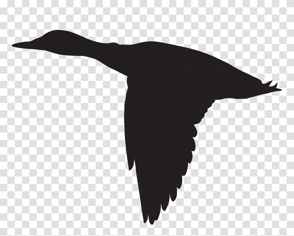 Duck Silhouette Cliparts, Animal, Sea Life, Mammal, Whale Transparent Png