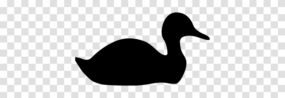 Duck Silhouette Image, Gray, World Of Warcraft Transparent Png