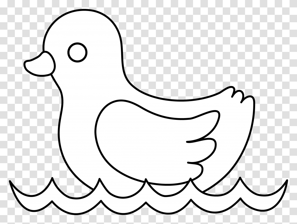 Duck White Cliparts, Bird, Animal, Poultry, Fowl Transparent Png