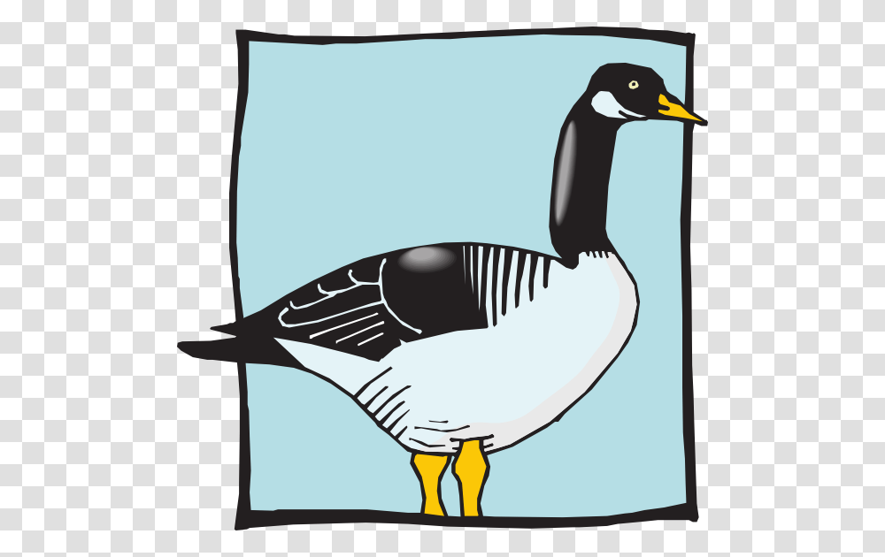 Duck With Blue Background Clip Art For Web, Goose, Bird, Animal, Waterfowl Transparent Png