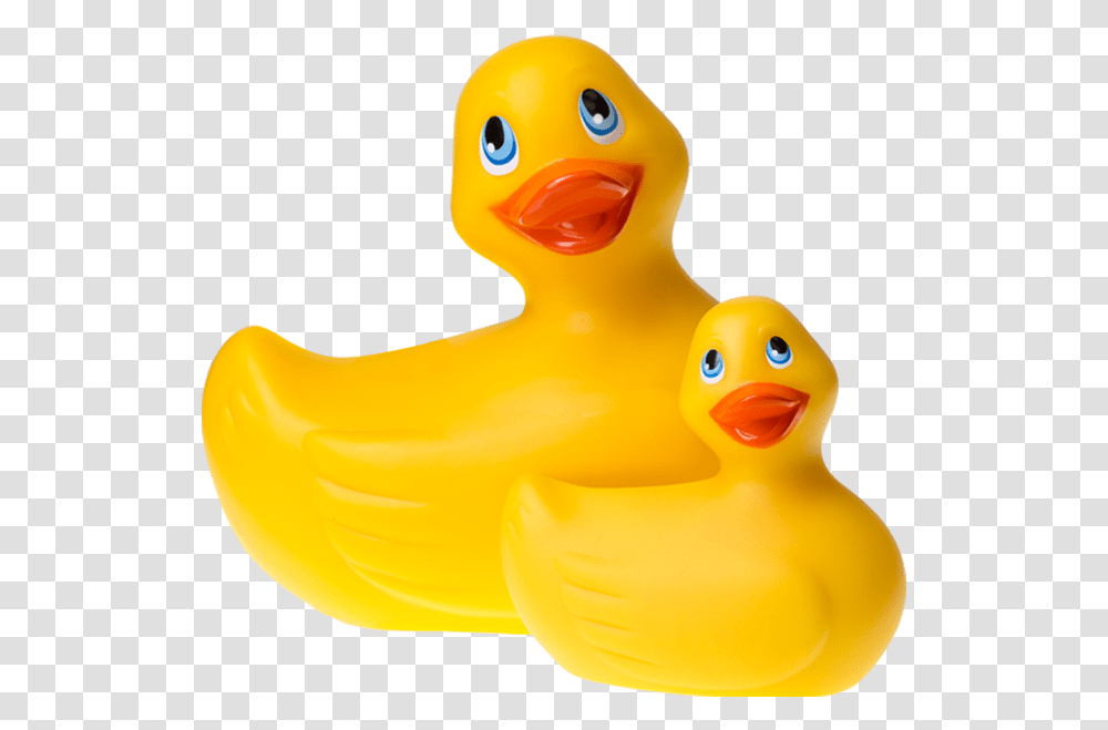 Duckies, Toy, Animal, Bird, Beak Transparent Png