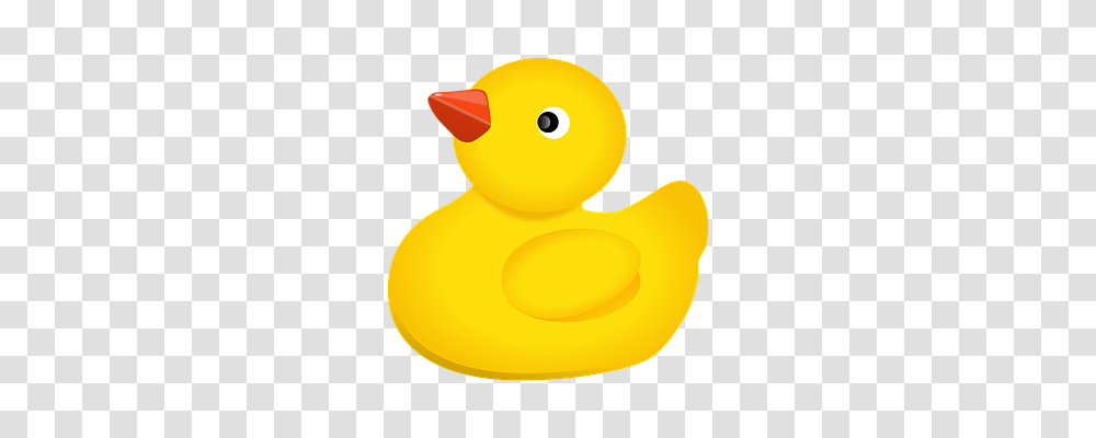 Duckling Animals, Bird, Poultry, Fowl Transparent Png