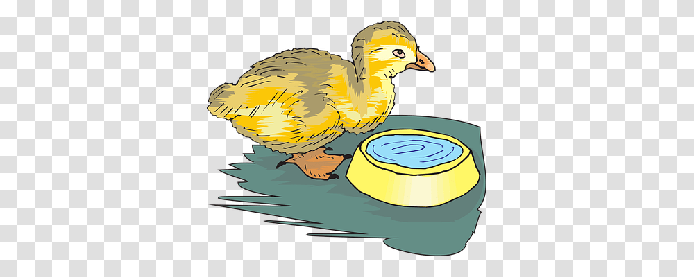 Duckling Food, Beak, Bird, Animal Transparent Png