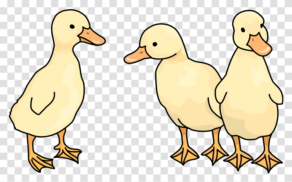 Duckling Bird Clipart Free Download Bird Clip Art, Animal, Goose, Waterfowl Transparent Png