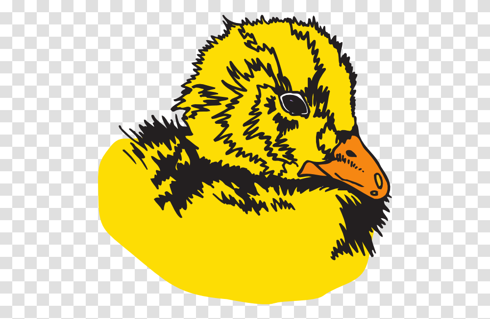 Duckling Clip Art, Beak, Bird, Animal, Tiger Transparent Png