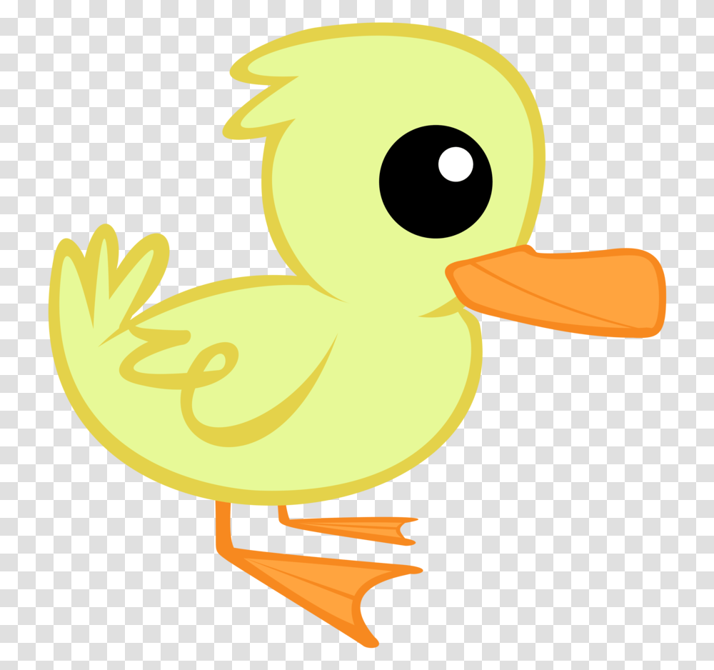 Duckling Clipart 5 Duck Duck Cartoon Clipart, Bird, Animal, Poultry, Fowl Transparent Png