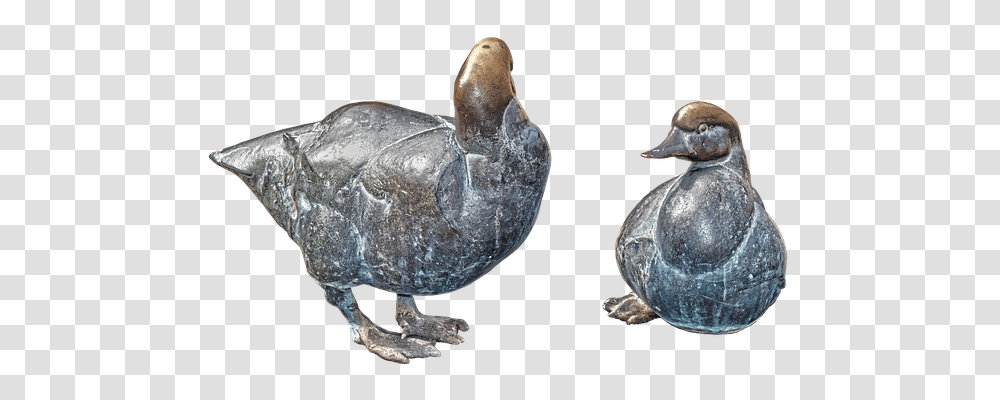 Ducks Architecture, Animal, Bird, Tortoise Transparent Png