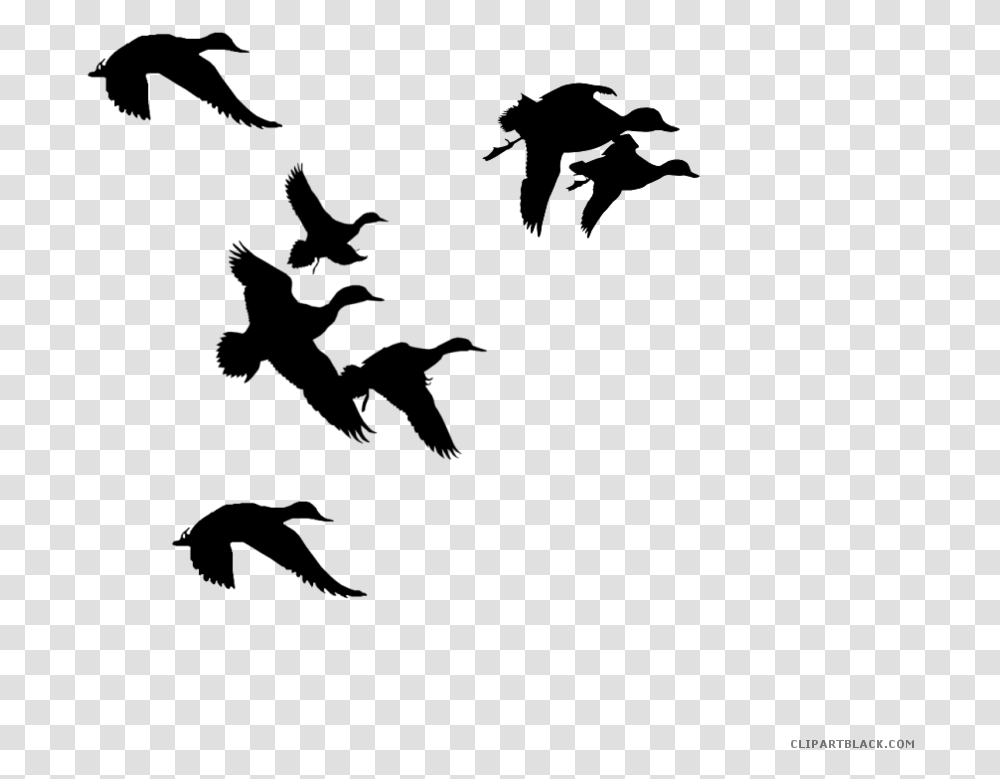 Ducks Clipart Black And White, Gray, World Of Warcraft Transparent Png