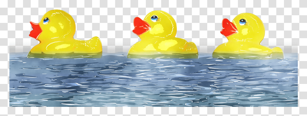 Ducks Clipart Blue Rubber Ducky, Outdoors, Animal, Bird, Water Transparent Png