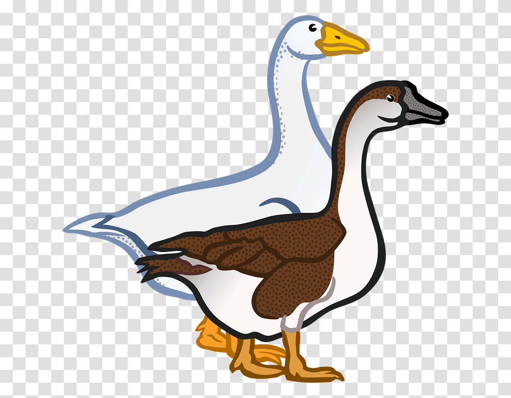 Ducks Clipart Farm Thing, Bird, Animal, Goose, Beak Transparent Png