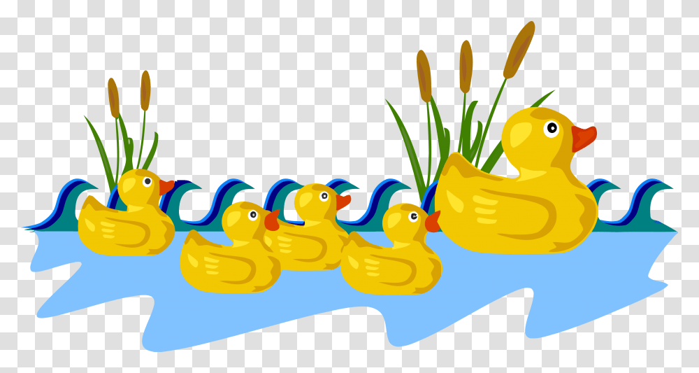 Ducks Clipart, Plant, Bird, Animal Transparent Png