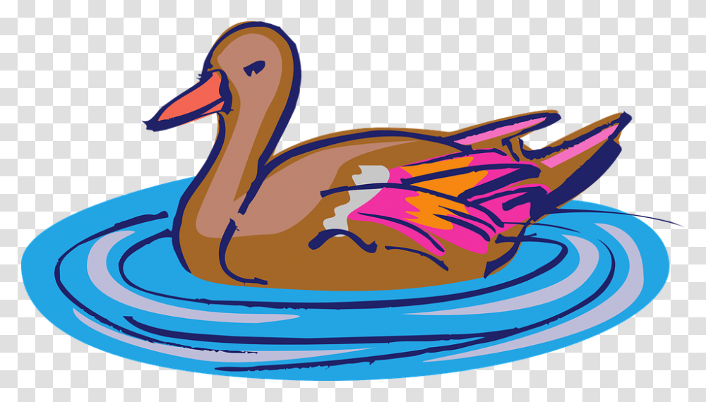 Ducks Clipart Swimming Duck In Water Clipart, Animal, Bird Transparent Png