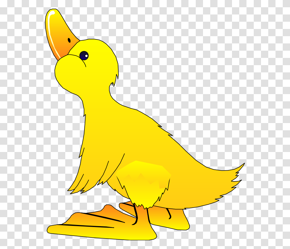 Ducks Clipart Yellow, Bird, Animal, Waterfowl Transparent Png