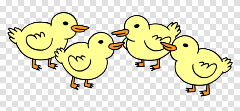 Ducks Regular Show Wiki Baby Ducks From Regular Show, Poultry, Fowl, Bird, Animal Transparent Png