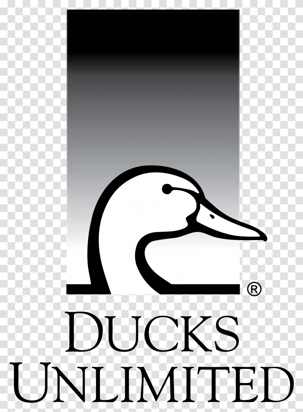 Ducks Unlimited, Bird, Animal, Swan, Goose Transparent Png