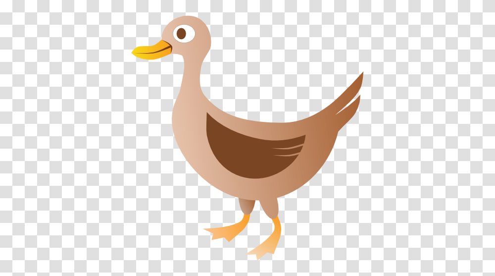 Ducks Vector, Bird, Animal, Goose Transparent Png