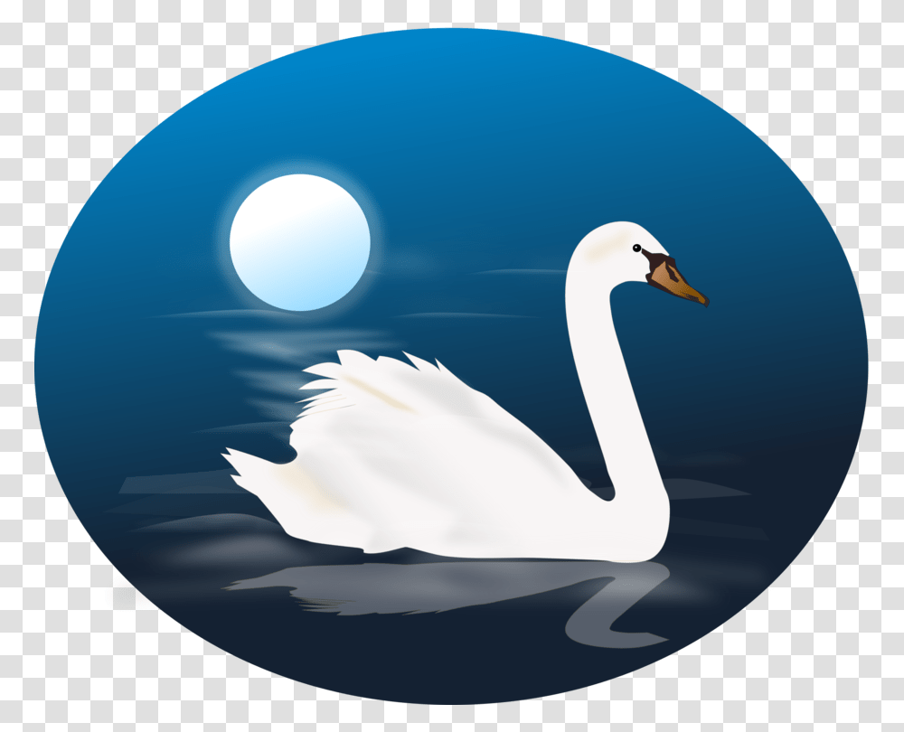 Duckwater Birdswan Animated Images Of Swan, Animal Transparent Png