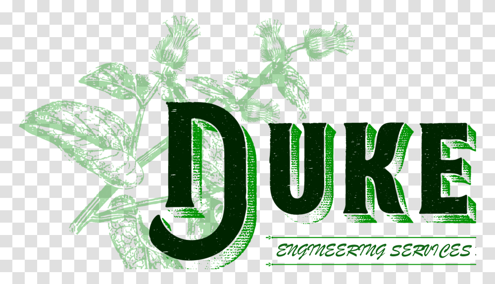 Duke Engineering Services Graphic Design, Bird, Animal, Alphabet Transparent Png