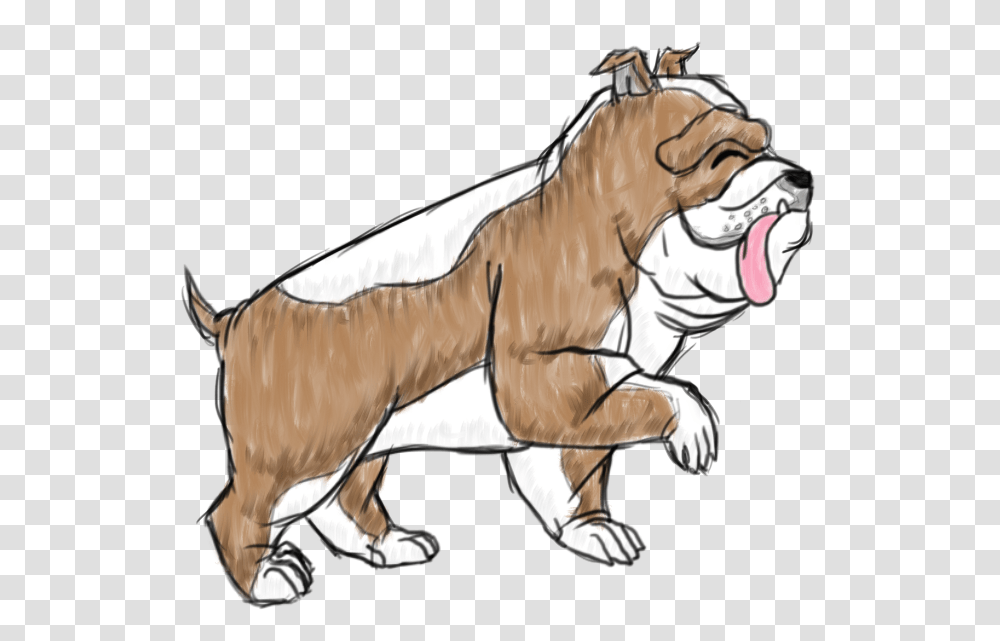 Duke The English Bulldog Illustration, Horse, Mammal, Animal, Wildlife Transparent Png