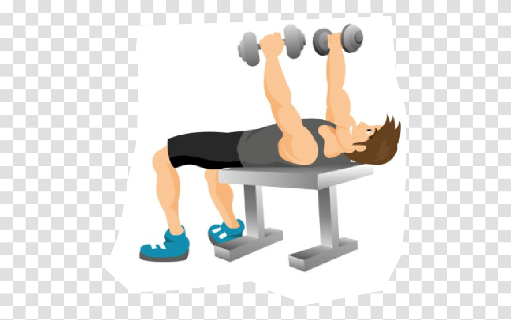 Dumbbell Clipart Dumbbell Clipart, Person, Human, Working Out, Sport Transparent Png