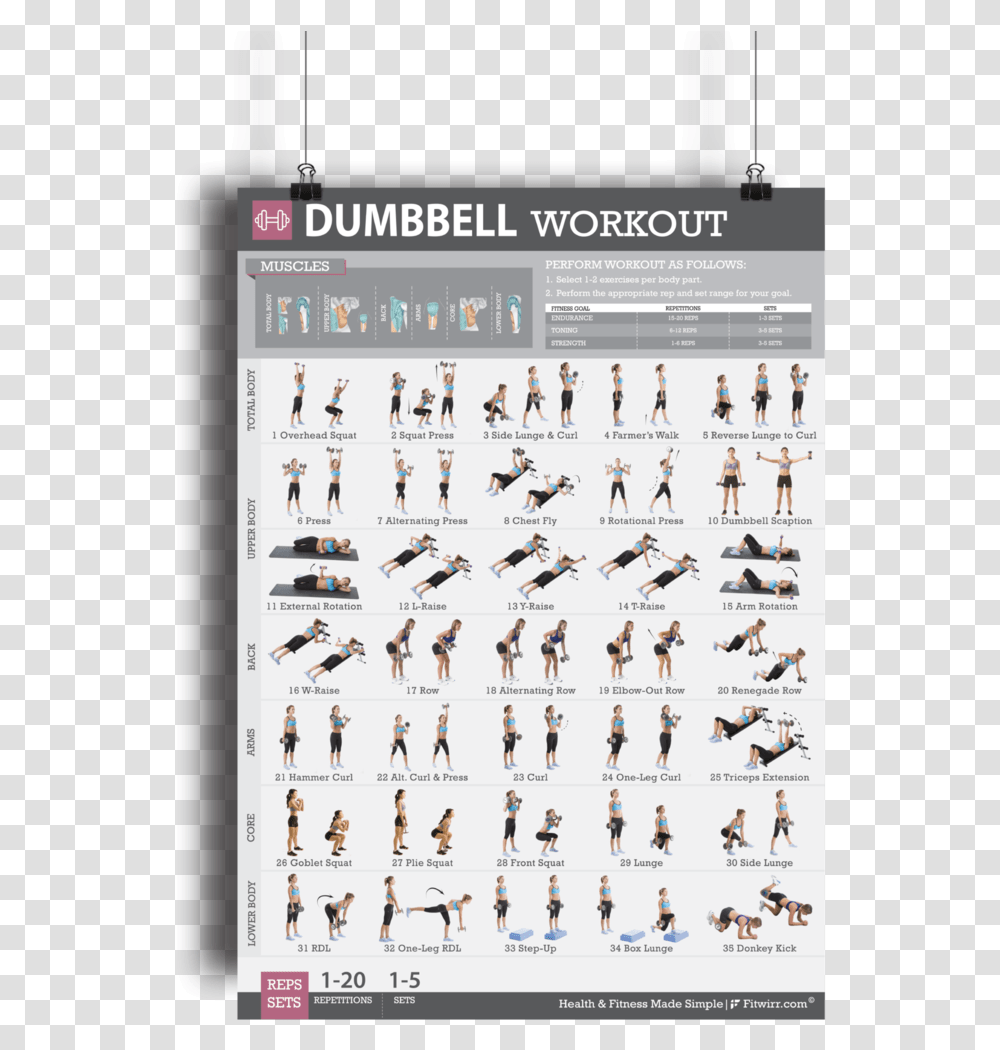 Dumbbell Exercises Muscle Groups, Person, Human, Sport, Sports Transparent Png