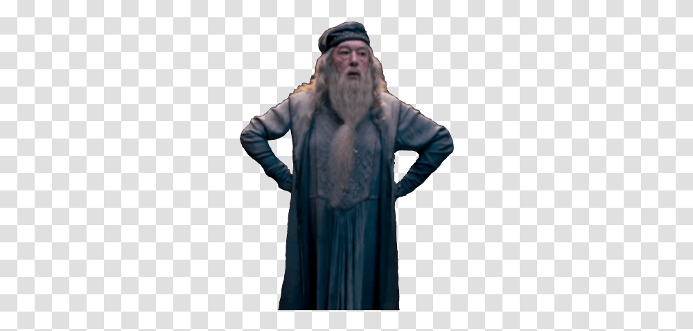 Dumbledore 3 Image Dumbledore Clipart, Clothing, Apparel, Face, Person Transparent Png