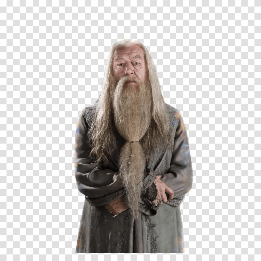 Dumbledore Dumbledore, Face, Person, Clothing, Beard Transparent Png