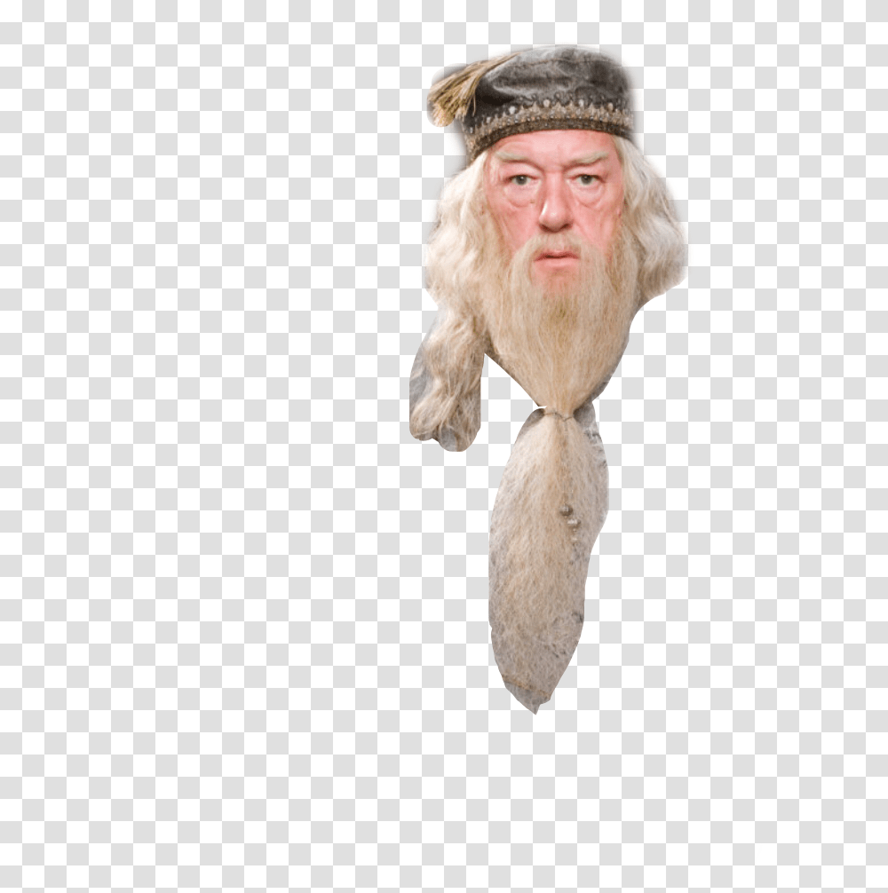 Dumbledore Freetoedit Harry Potter, Face, Person, Figurine, Wood Transparent Png