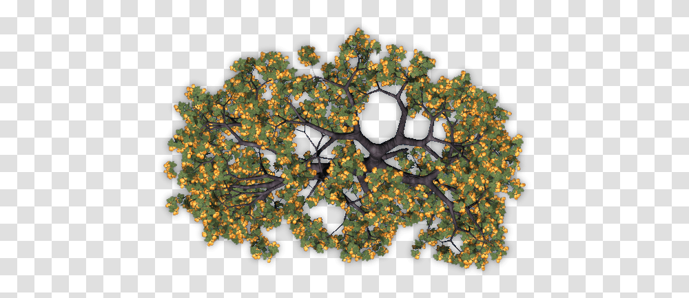 Dundjinni Mapping Software Forums Apricot Trees Camomile, Ornament, Pattern, Fractal, Bird Transparent Png