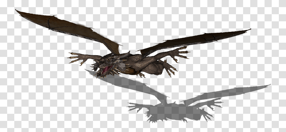 Dundjinni Mapping Software Forums Iso Flying Dragon Fictional Character, Bird, Animal Transparent Png