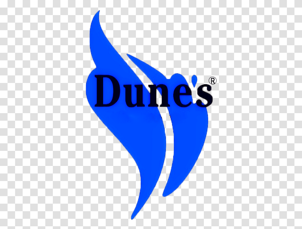 Dunes Water, Label, Light, Plectrum Transparent Png