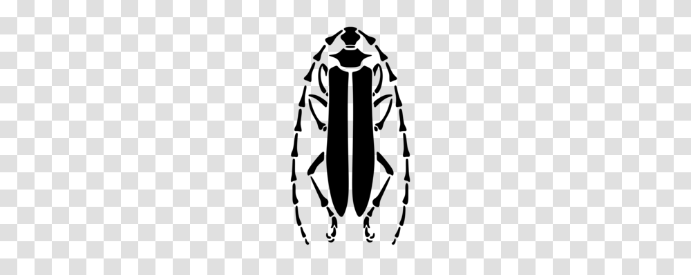 Dung Beetle Ancient Egypt Scarabs, Gray, World Of Warcraft Transparent Png