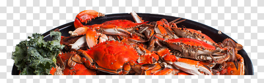 Dungeness Crab, Lobster, Seafood, Sea Life, Animal Transparent Png