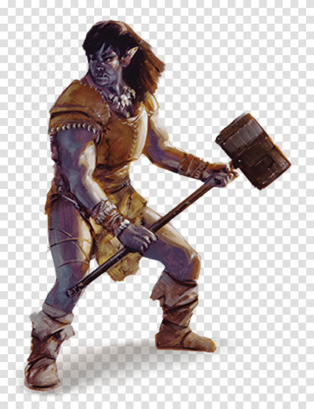 Dungeons And Dragons Half Orc, Person, Sleeve, Costume Transparent Png