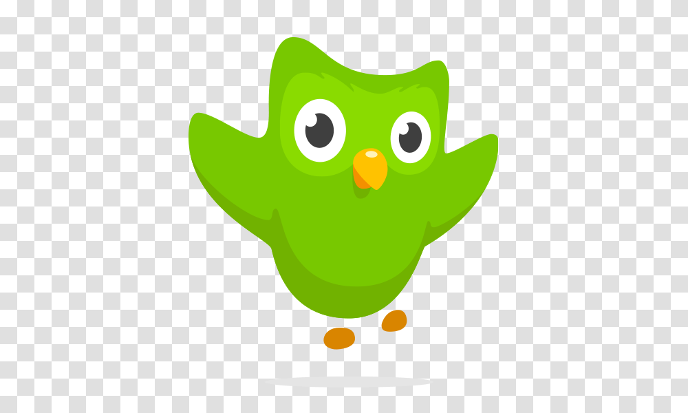 Duolingo Learn Spanish French And Other Languages For Free, Plant Transparent Png