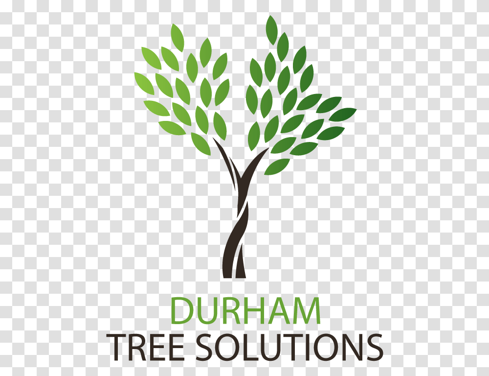 Durham Tree Solutions May Day Star Health, Poster, Advertisement, Plant, Leaf Transparent Png