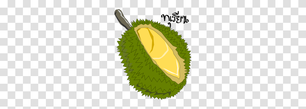 Durian Clipart Clip Art, Fruit, Produce, Plant, Food Transparent Png