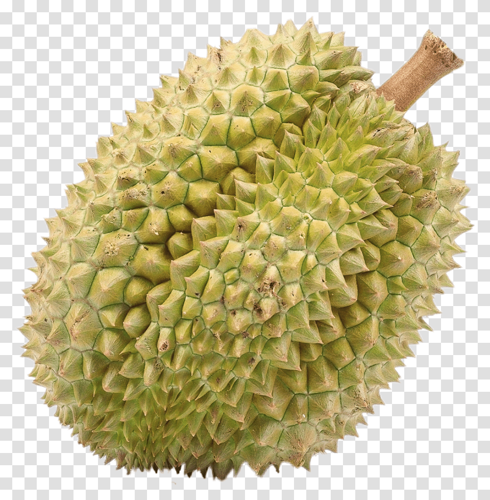 Durian Download Fruits That People Don't Like, Produce, Plant, Food, Fungus Transparent Png