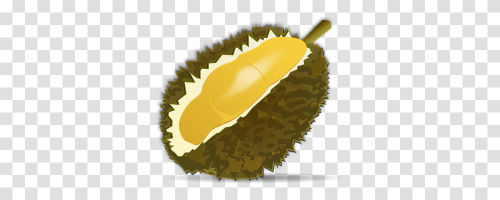 Durian Fruit Food, Produce, Plant, Seed Transparent Png