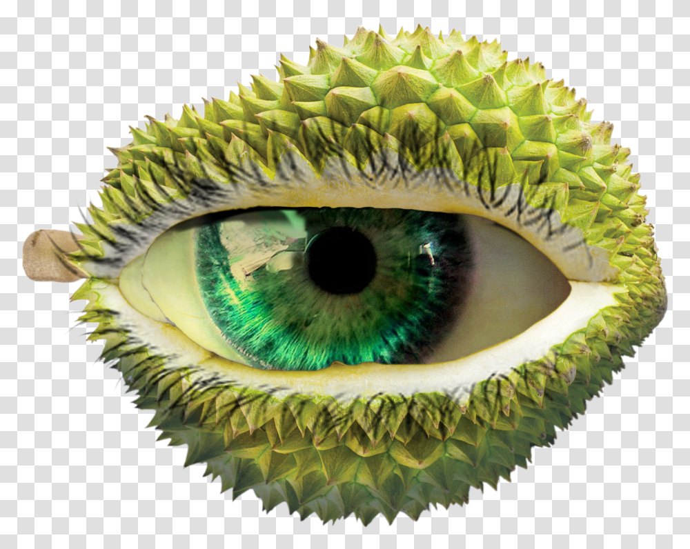 Durian Image With No Background Eyelash Extensions, Plant, Fruit, Food, Photography Transparent Png