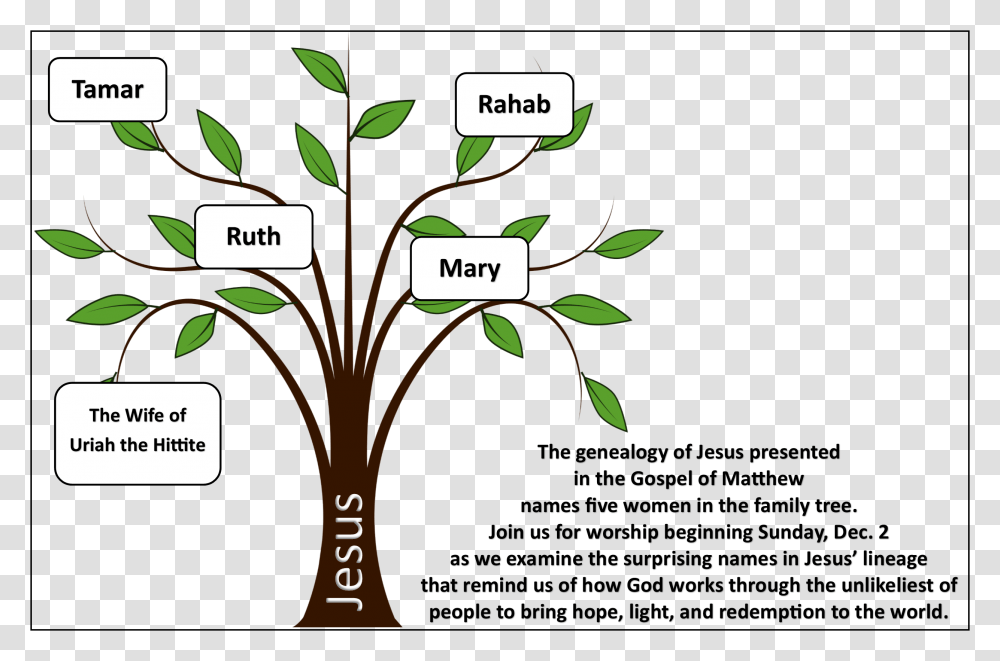 During Advent And Christmas Remembering This Strange Simple Family Tree Drawing, Vegetation, Plant, Label Transparent Png